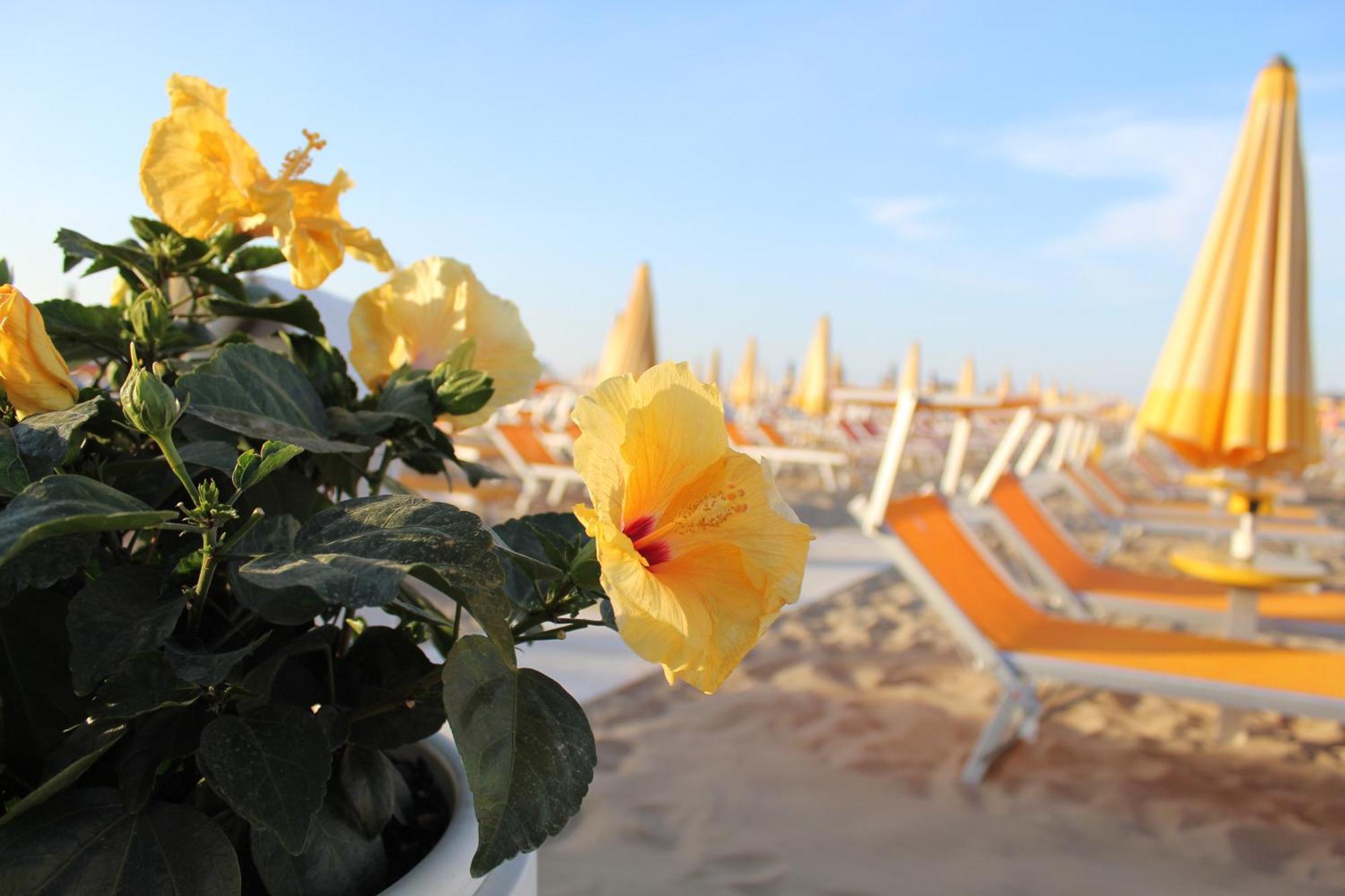 Hotel Villa Lieta Ρίμινι Εξωτερικό φωτογραφία